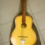 860 5594 Gitarr